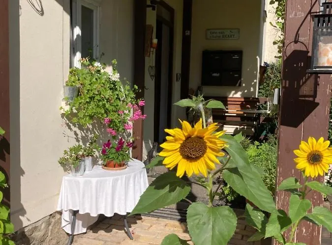 Deli 106 Apartamento